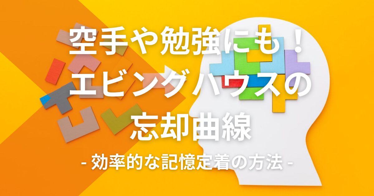 空手や勉強にも!エビングハウスの忘却曲線を利用した効率的な記憶定着の方法