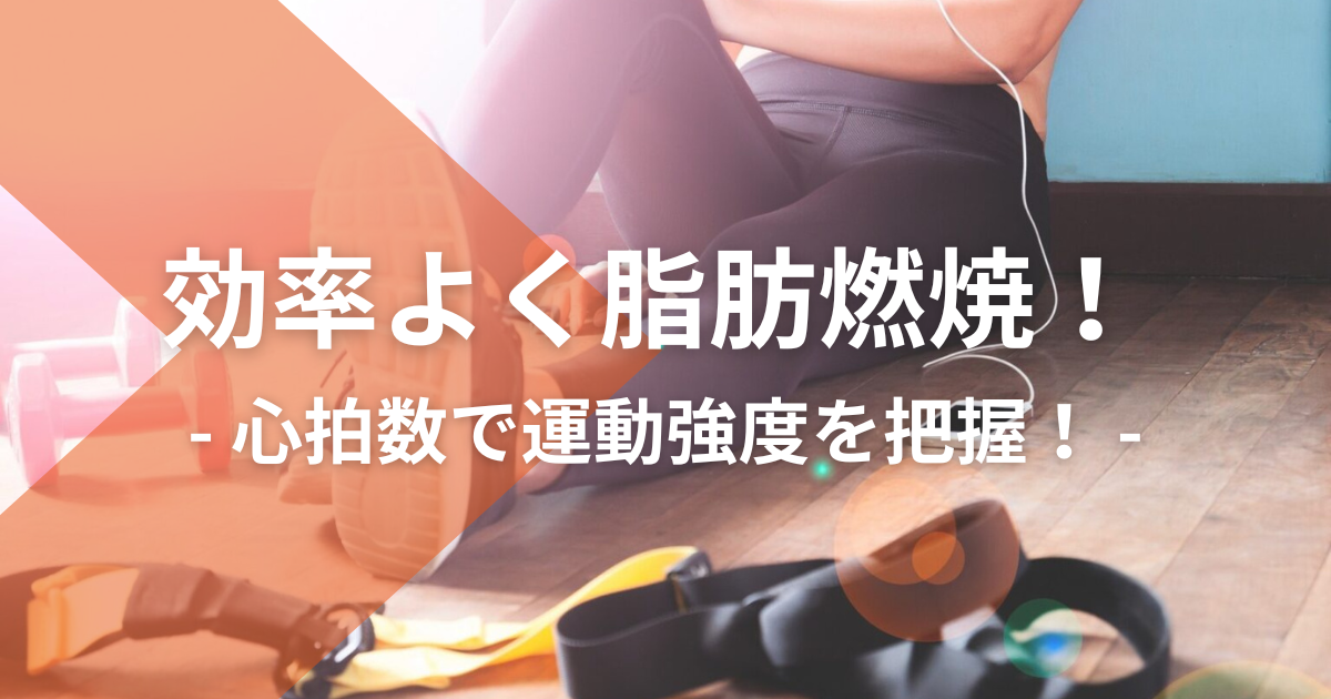 効率よく脂肪燃焼!心拍数で運動強度を把握!