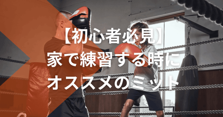 【初心者向け】家で練習する時にオススメのミット