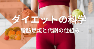 ダイエットの科学：脂肪燃焼と代謝の仕組み