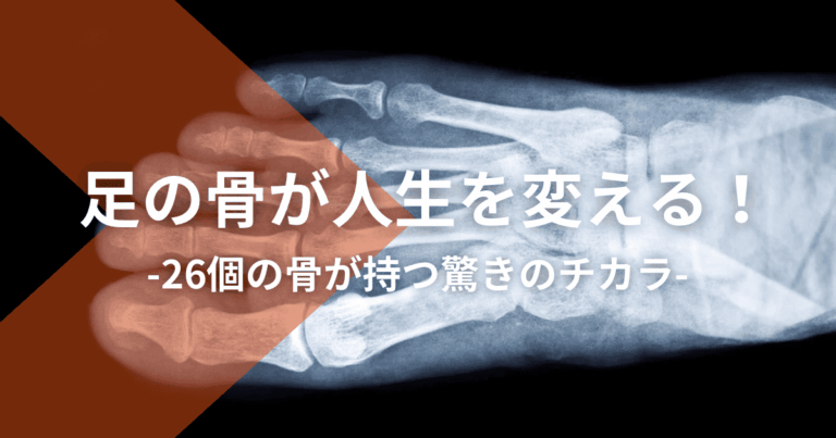 足の骨が人生を変える！26個の骨が持つ驚きのチカラ