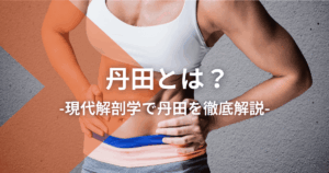 丹田とは？現代解剖学で丹田を徹底解説