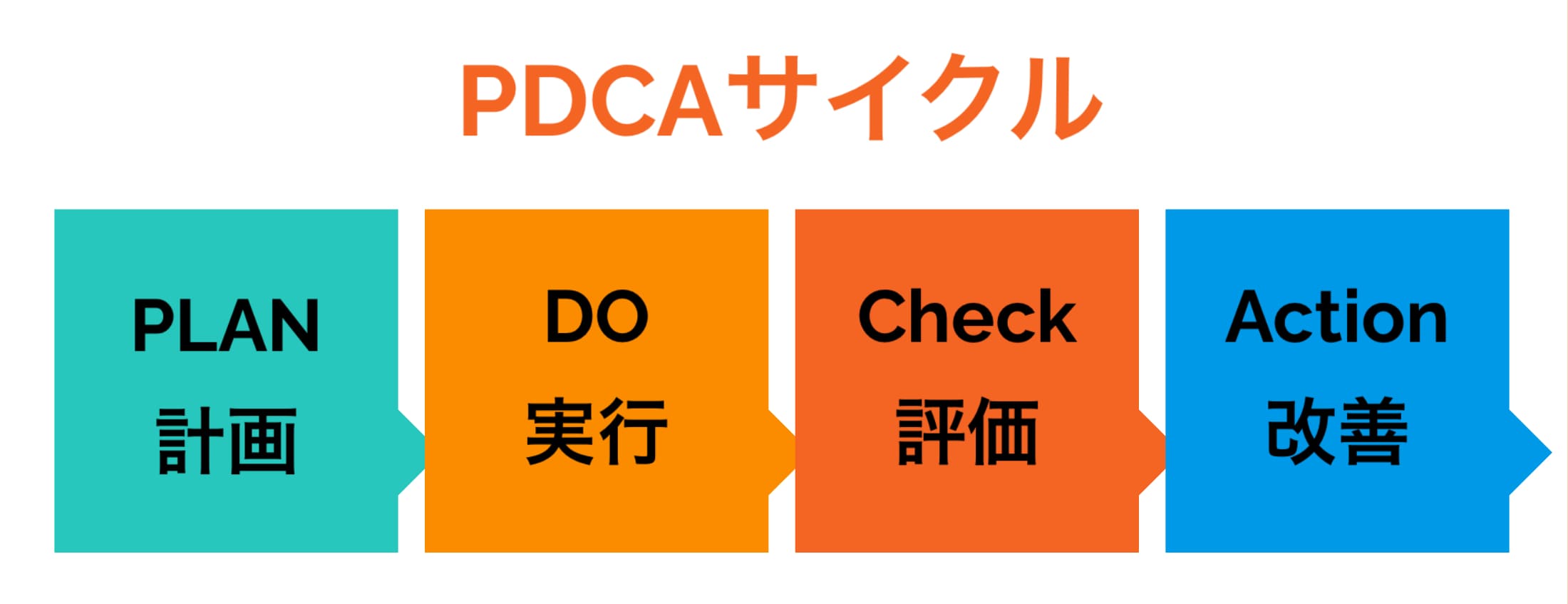 格闘技で磨く戦略的思考力:ビジネスと未来の成功への鍵